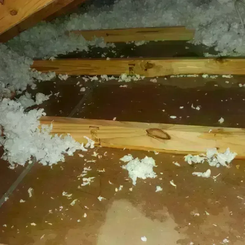 Attic Water Damage in Alpine, NJ