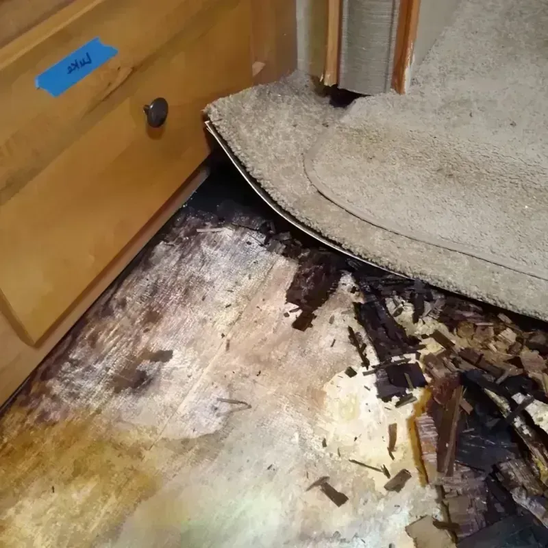 Wood Floor Water Damage in Alpine, NJ